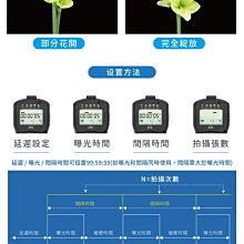 商品縮圖-8