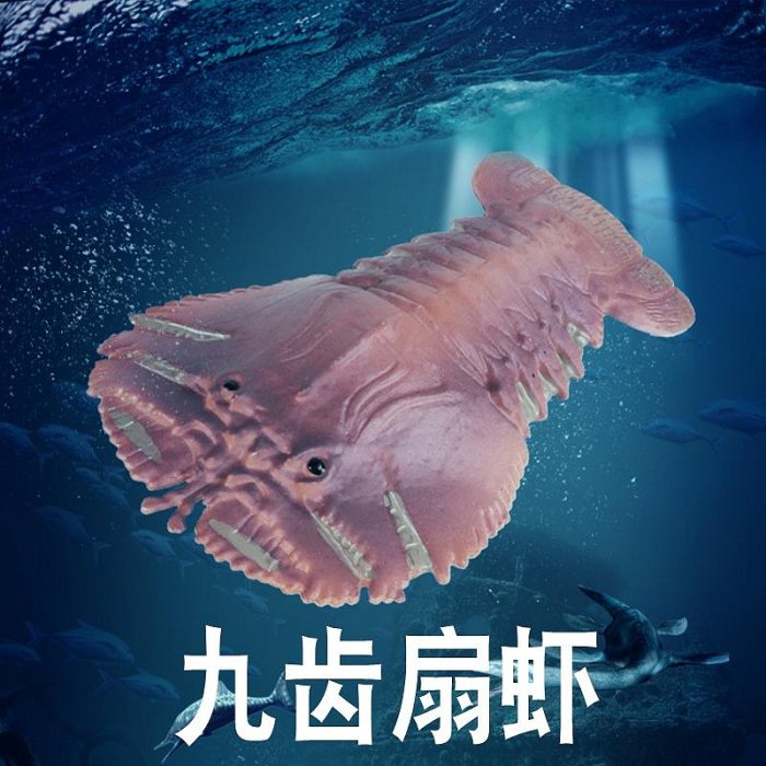 林暢模玩海洋生物九齒扇蝦模型琵琶蝦仿真蝦排兒童海底動物玩具