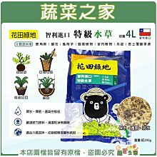 【蔬菜之家滿額免運】 花田綠地智利進口特級水草4L 水苔 蕨類 鹿角蕨 蘭花 龜背芋 觀葉植物 天南星科 室內植物