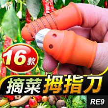 板橋現貨【帶鋼圈防割指套】摘菜護甲器.摘菜神器.鐵指甲.手指刀-園藝農用採摘豆角剪辣椒剝蒜頭【傻瓜批發】RE9-15