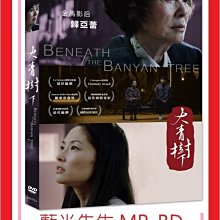 [藍光先生DVD] 大青樹下 Beneath the Banyan Tree ( 采昌正版 )