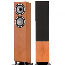 【富豪音響】高雄旗艦店 TANNOY REVOLUTION XT8F 落地喇叭