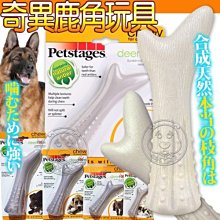 【🐱🐶培菓寵物48H出貨🐰🐹】美國petstages》670奇異鹿角耐咬潔牙抗憂鬱狗玩具L/個 特價540元