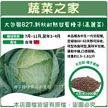 【蔬菜之家滿額免運00B27】大包裝. 新秋耐熱甘藍種子(高麗菜) 6克(約1000顆)※不適用郵寄掛號※