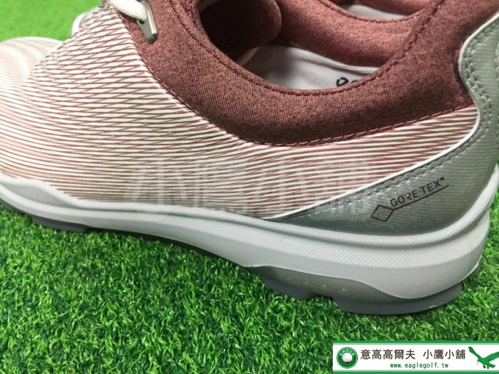 [小鷹小舖] ECCO GOLF BIOM HYBRID3 12550351404 高爾夫 女仕球鞋 軟釘 防水皮革