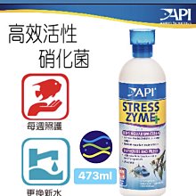 微笑的魚水族☆API-魚博士【高效活性硝化菌473ml】硝化菌