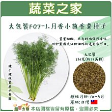 【蔬菜之家滿額免運00F07-1】大包裝.月香小茴香菜種子230克(客家香菜) ※請選擇超商或宅配運送