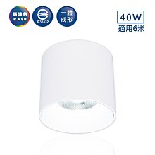 舞光 40W神盾筒燈 LED-CEA40D 高雄永興照明~