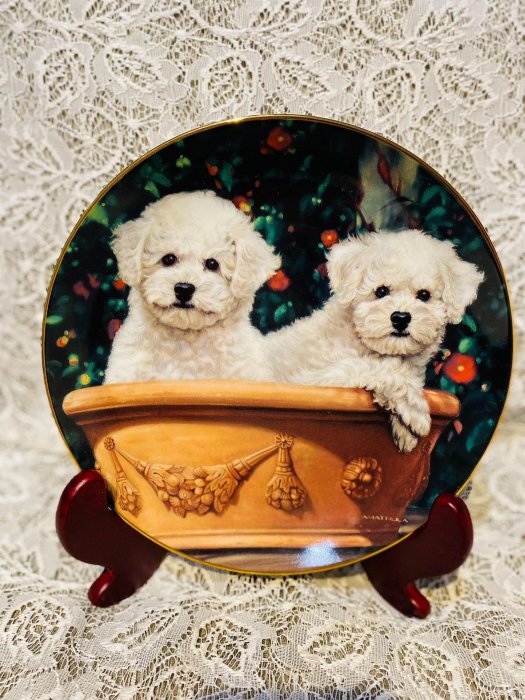 西洋古董 比熊犬裝飾瓷盤限量版收藏盤