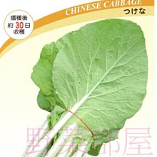 【野菜部屋~】F34 時田48號小白菜種子3.4公克 , 抗病 , 耐熱 , 耐雨 , 每包15元 ~