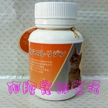 【阿肥寵物生活】貓寶-離胺酸60g／針對貓庖疹病毒、淚液、經常性噴嚏