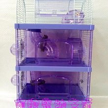 【阿肥寵物生活】歡樂三層鼠籠-紫色／可外接／爬管式樓梯，運動休閒皆宜