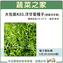 【蔬菜之家滿額免運】大包裝K03.洋甘菊種子(德國洋甘菊)5克(香草種子) ※請選擇超商或宅配運送※