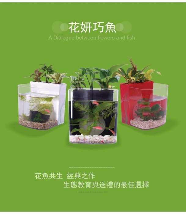 [第一佳 水族寵物]花魚共生寵物缸 [黑] (花妍巧魚) 花魚共生新主張 迷你小魚缸 / 水族箱