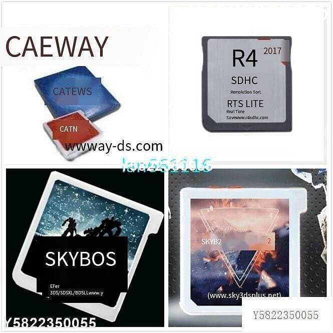 3DS NDS 破解燒錄卡 R4i 銀卡 GATEWAY GW 紅藍卡 SKY 藍色 橙色