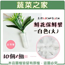 【蔬菜之家滿額免運005-L098】鮮花保鮮管-白色(大) 10個/組 直徑1.8CM*長6CM-台灣製