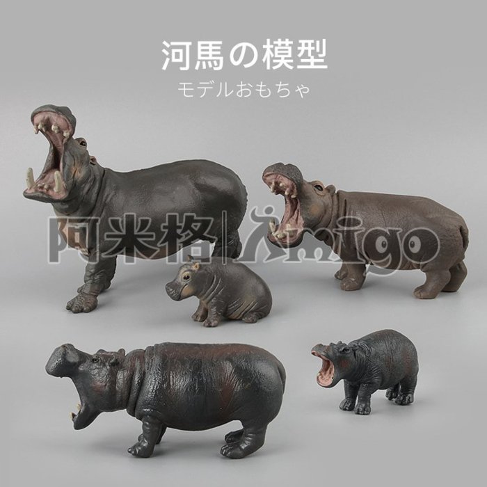 阿米格Amigo│一套5款 河馬 hippo 仿真動物模型 科教 教學 公仔 擺設 玩具 兒童 幼兒 禮物