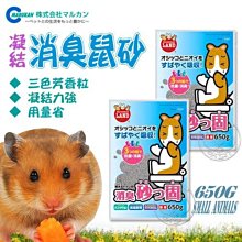 【🐱🐶培菓寵物48H出貨🐰🐹】日本Marukan》MR-966凝結消臭鼠砂650g 特價123元