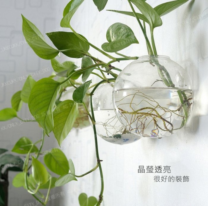 懸掛式壁掛玻璃花瓶 水培 綠化 淨化空氣 牆壁 玻璃 佈置 擺飾 花器 創意 玻璃装飾器皿 壁掛 懸掛水培【神來也】