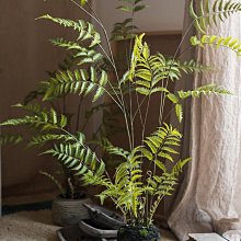 仿真樹 假樹 仿真植物 假植物鳳尾蕨苔泥團盆景仿真蕨草蕨樹仿真綠植擺件客廳造景假綠植