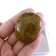 ☆寶峻晶石館☆特價品~馬達加斯加海洋碧玉Ocean Jasper 海洋瑪瑙 碎石 JPS-4