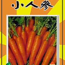 【野菜部屋~】I08 日本小人參種子1公克 , 迷你胡蘿蔔 , 每包15元~