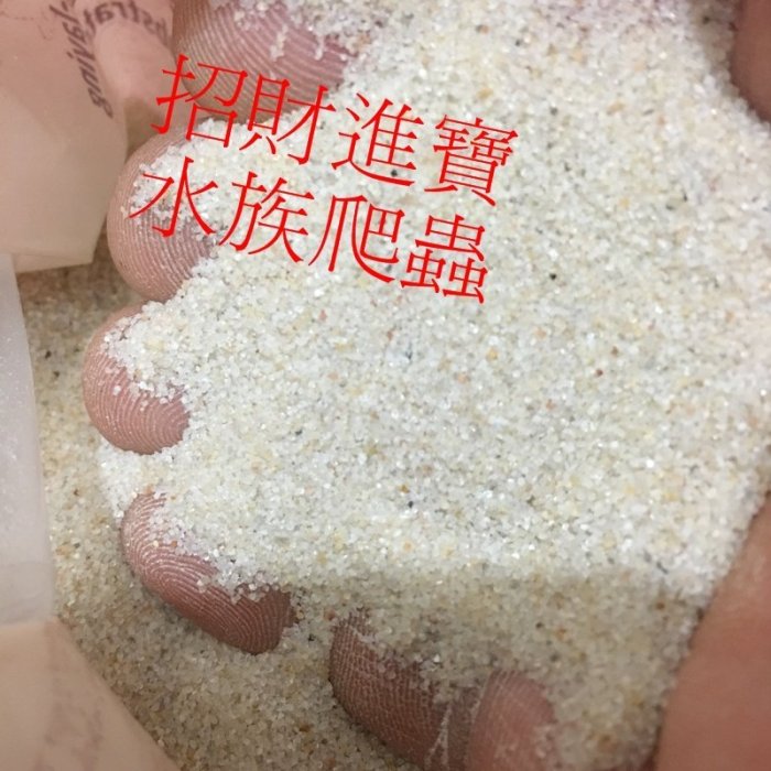 缺貨小包美國進口 爬蟲砂 天然沙漠細砂 底材 鬆獅蜥 王者蜥爬蟲沙 蜥蜴守宮細沙 蛇 蜘蛛 蠍子 老鼠 昆蟲 盒 飼養箱