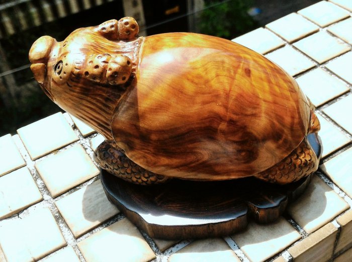 紅檜鳳尾榴(瘤)雕龍龜