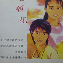 月界 香水百合花 中視劇場花系列 絕版 林曉筠 李曉蘋 九儀出版 自有書 王淑娟 艾偉 席曼寧 言情小說 Ckz Yahoo奇摩拍賣