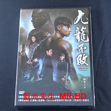 [DVD] - 九龍不敗 Invincible Dragon ( 飛行正版 )