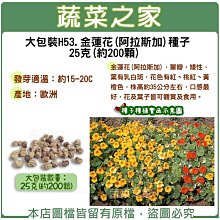 【蔬菜之家滿額免運】大包裝H53.金蓮花(阿拉斯加)種子25克(約200顆)※不適用郵寄掛號配送※