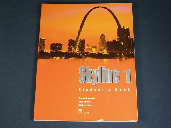 【懶得出門二手書】《Skyline 1》Palgrave Macmillan│Simon Brewster│七成新