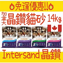 BBUY 免運 💥 加拿大 晶鑽 Intersand 貓砂 14kg