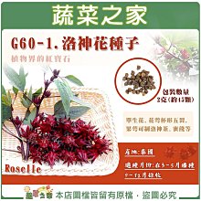 【蔬菜之家滿額免運】G60-1.洛神花種子2克(約45顆) //適應性強，耐熱。 單生花，花萼杯形五裂，果萼可洛神茶蜜餞