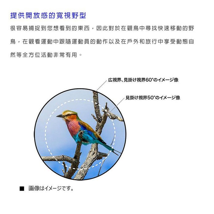 正陽光學 Nikon 望遠鏡 PROSTAFF P7 10X30 充氮防水 賞鳥望遠鏡 台灣代理商公司貨