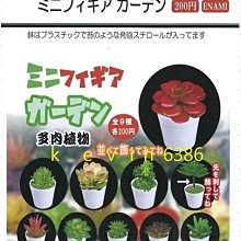 多肉植物 優惠推薦 22年3月 Yahoo奇摩拍賣