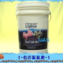 【~魚店亂亂賣~】美國KENT肯特KSSP200加鈣速溶軟體鹽200gal海鹽,海水素26.3kg