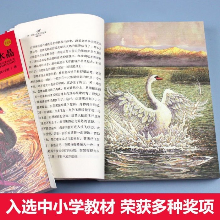 白天鵝紅珊瑚+黑天鵝紫水晶 全套2冊 動物小說大王沈石溪品藏書系~特價