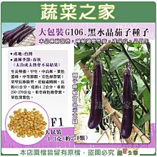 【蔬菜之家滿額免運】大包裝G106.黑水晶茄子種子1.3克(約270顆)F1 本品種耐濕熱，種植適應性廣，產量高、品質佳。 ※不適用郵寄