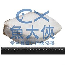 大比目魚-切片厚冰款 (全無洞/340g±3%/35%冰/片)#厚冰款-1D6B【魚大俠】FH220