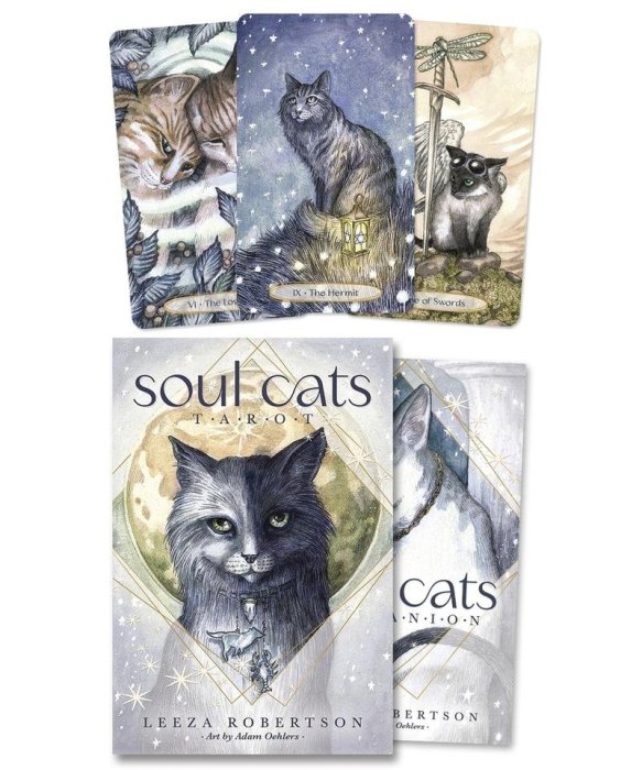 【預馨緣塔羅鋪】現貨正版靈魂貓塔羅牌Soul Cats Tarot（全新78張）（豪華套裝版）