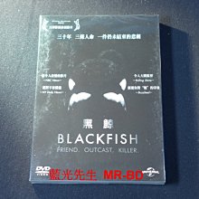 [DVD] - 黑鯨 Black Fish ( 傳訊正版 )