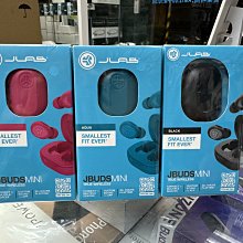 禾豐音響 加送收納盒 JLab JBuds Mini 真無線藍牙耳機 公司貨保固一年