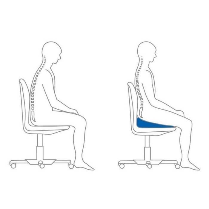 【熱賣精選】TEMPUR 丹普 零壓力坐墊 護脊靠墊 座墊 椅墊 辦公椅 坐墊 靠墊 人體工學 護腰枕 記