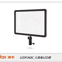 ☆閃新☆GODOX 神牛 LEDP260C 可調色溫 攝影燈 大面板 平板型LED燈 (公司貨)