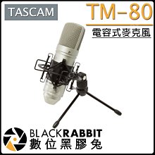 數位黑膠兔【 TASCAM TM-80 電容式麥克風 】錄音 電容話筒 麥克風