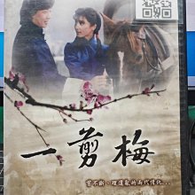 影音大批發-S351-正版DVD-大陸劇【一剪梅 全25集3碟】-寇世勛 沈海蓉 張晨光(直購價)