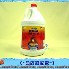 【~魚店亂亂賣~】台灣AZOO龍魚聖品龍泉液3800ml(另有龍泉菌.萬能魚調理.龍魚維他命)