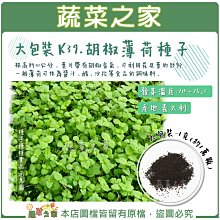 【蔬菜之家滿額免運】大包裝K39.胡椒薄荷種子1克(約1萬顆)  請選擇超商或宅配運送※