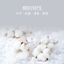 商品縮圖-5